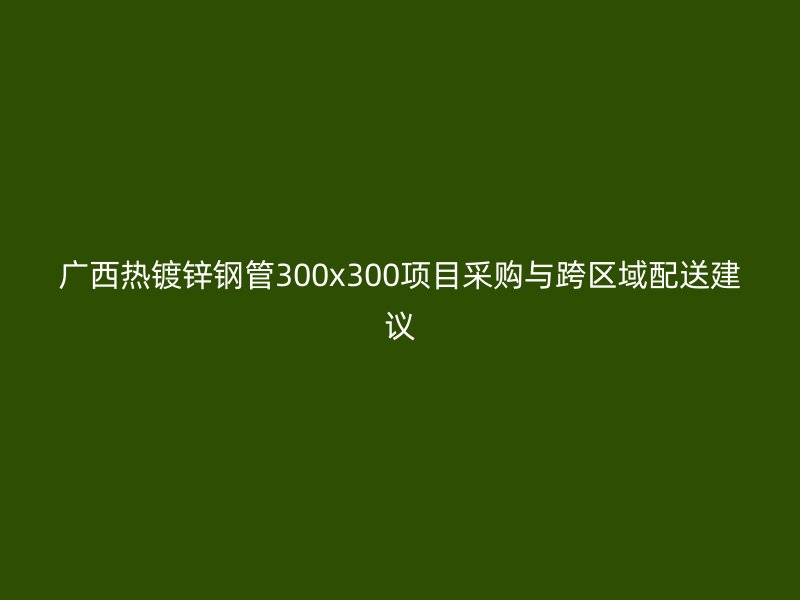 廣西熱鍍鋅鋼管300x300項目采購與跨區(qū)域配送建議
