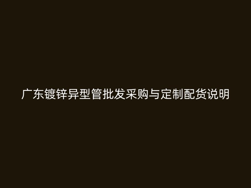 廣東鍍鋅異型管批發(fā)采購(gòu)與定制配貨說明
