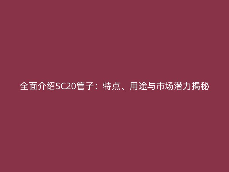 全面介紹SC20管子：特點、用途與市場潛力揭秘