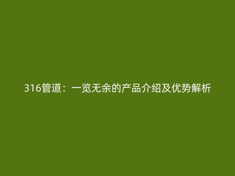 316管道：一覽無余的產品介紹及優(yōu)勢解析